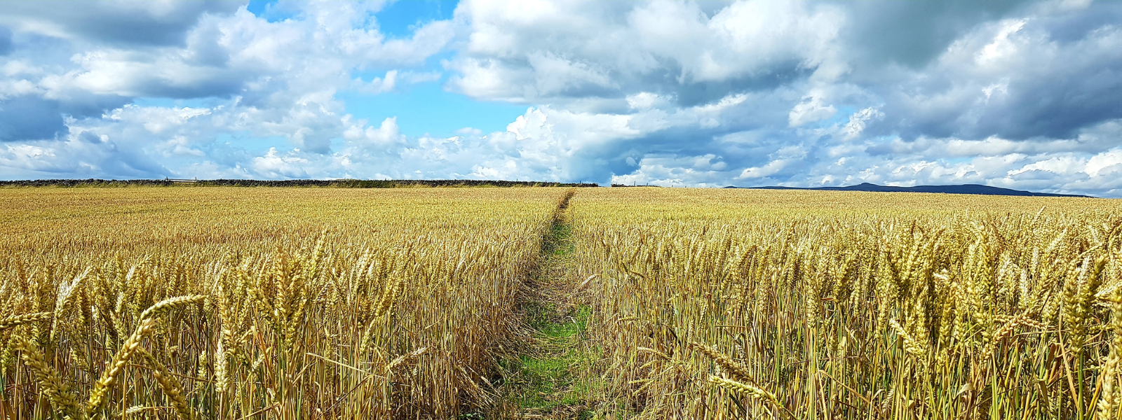 Welcome to the Diocese of Leeds