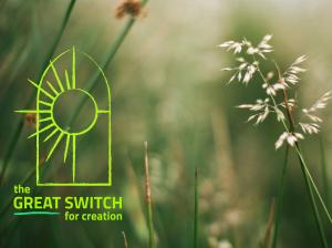 Great Switch Image options_Master-09.jpg
