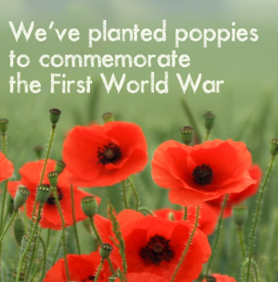 Planting Poppies to commemorate WW1 - Twitter banner